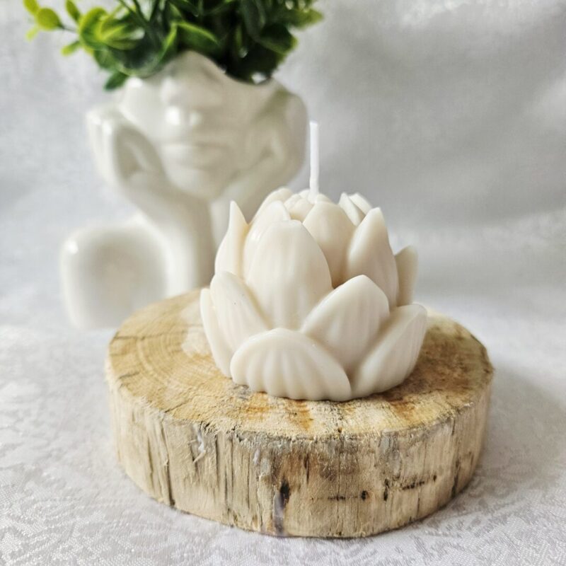 Lootoseõiekujuline sojavahaküünal, granaatõuna-rabarberi lõhnaline